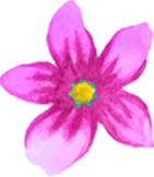 icone témoignage femme fleure rose