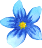 icone témoignage homme fleure bleue