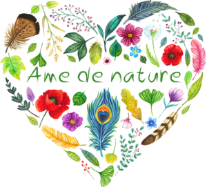 logo-amedenature-TRANSPARENT-PETIT Logo Ame de nature complet