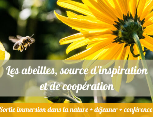 Les abeilles, source d’inspiration et de coopération