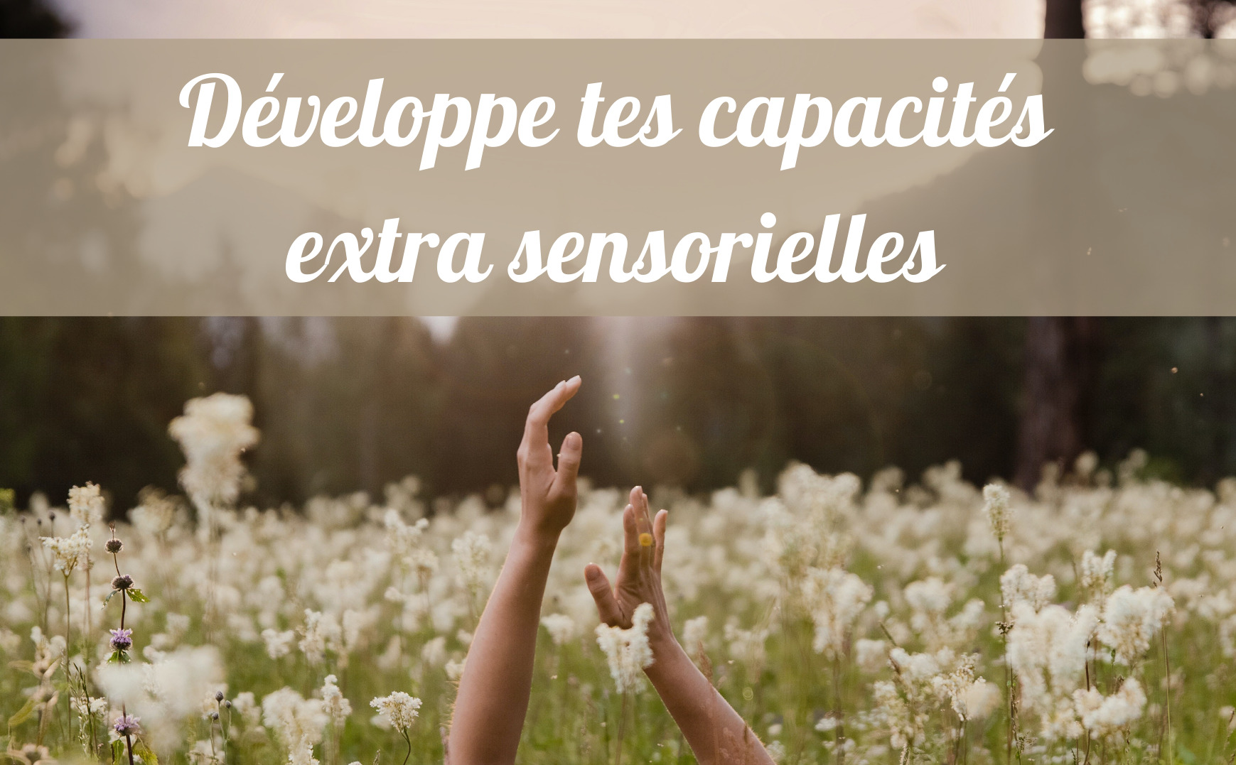 formation capacités extra sensorielles