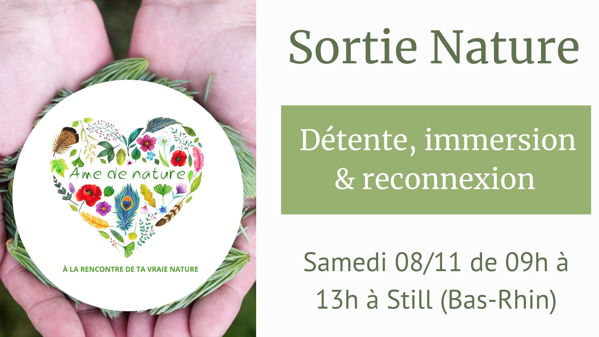 sortie nature Alsace