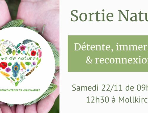 Sortie immersion & reconnexion dans la nature