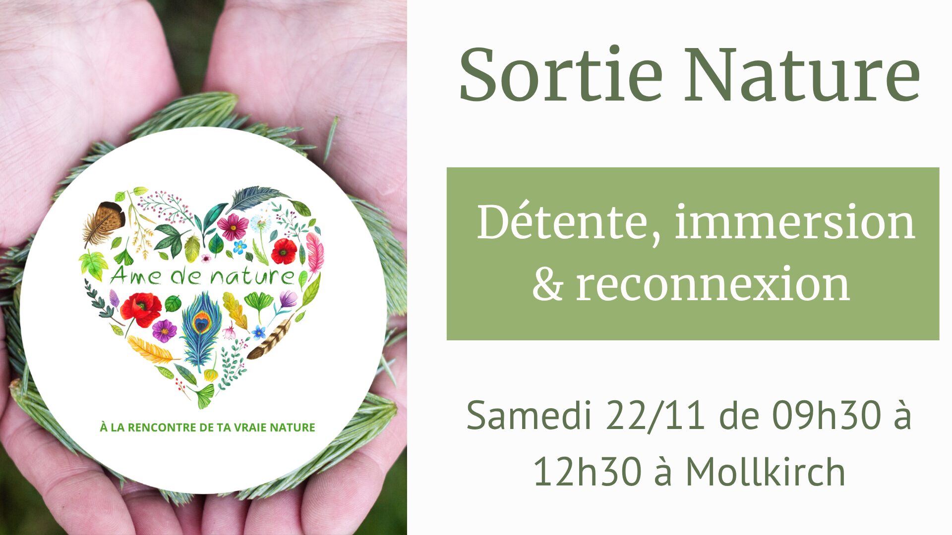 sortie nature mollkirch