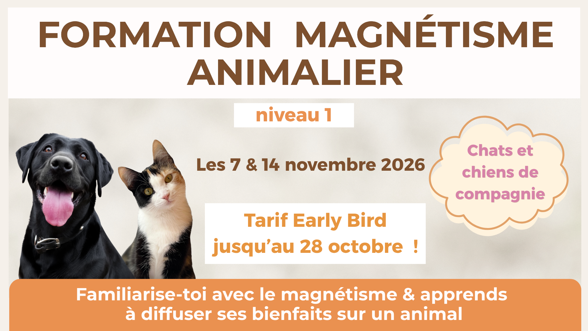 magnétiseur animal